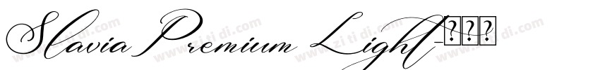 SlaviaPremium Light字体转换